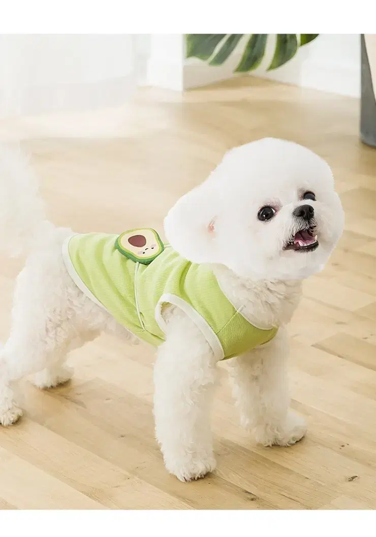 thumbnail-5